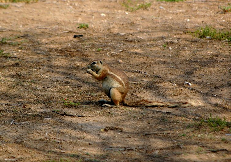 628 Namibia Okt 2006 .JPG